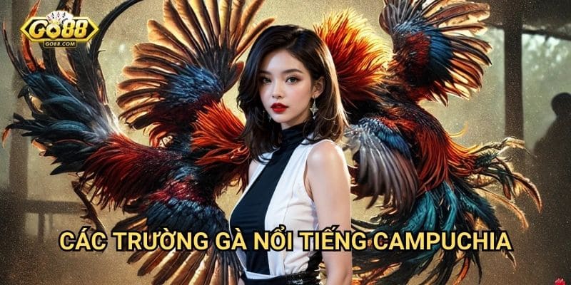 Đá gà Campuchia Go88: Sân chơi cá cược đá gà hợp pháp và minh bạch 2 Các trường gà nổi tiếng Campuchia