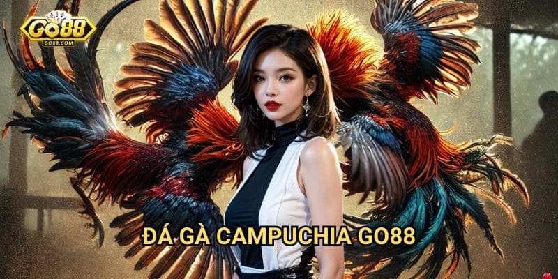 Đá gà Campuchia Go88: Sân chơi cá cược đá gà hợp pháp và minh bạch 1 Đá gà Campuchia Go88: Sân chơi cá cược đá gà hợp pháp và minh bạch