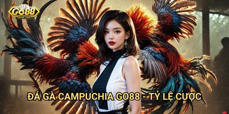 Đá gà Campuchia Go88: Sân chơi cá cược đá gà hợp pháp và minh bạch 3 Đá gà Campuchia Go88 - Tỷ lệ cược