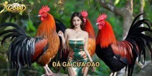 Đá gà cựa dao Go88: Hình thức đá gà mạo hiểm và hấp dẫn nhất
