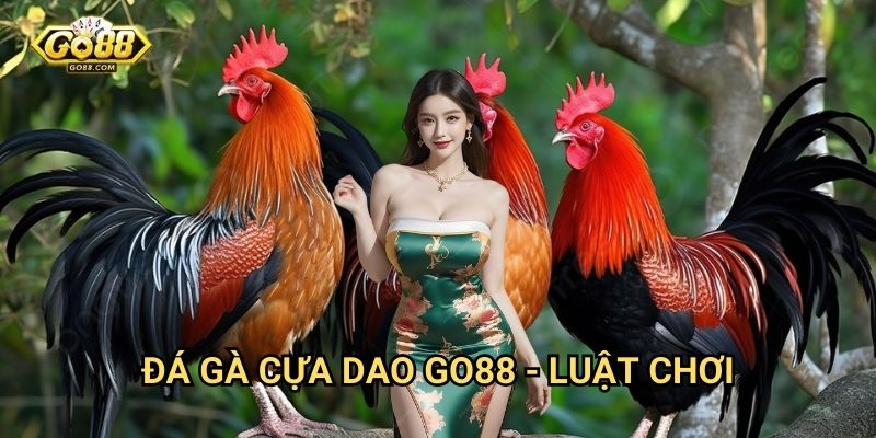 Đá gà cựa dao Go88: Hình thức đá gà mạo hiểm và hấp dẫn nhất 3 Đá gà cựa dao Go88 - Luật chơi