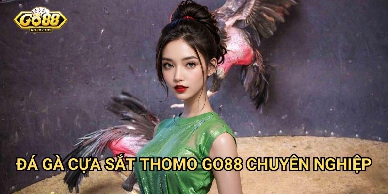 Đá gà cựa sắt Thomo Go88: Môn thể thao truyền thống đầy kịch tính 3 Đá gà cựa sắt Thomo Go88 chuyên nghiệp