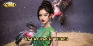 Đá gà cựa sắt Thomo Go88: Môn thể thao truyền thống đầy kịch tính