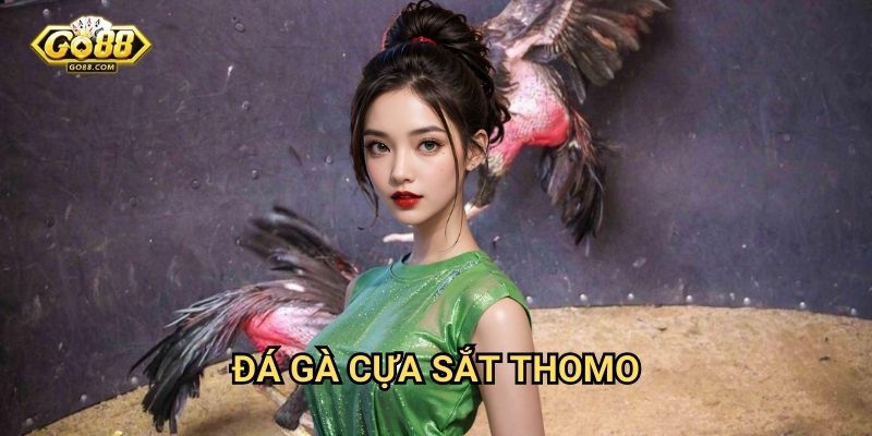 Đá gà cựa sắt Thomo Go88: Môn thể thao truyền thống đầy kịch tính