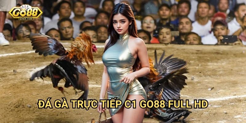Đá gà trực tiếp C1 Go88: Giải đấu đỉnh cao với gà chiến xuất sắc 3 Đá gà trực tiếp C1 Go88 Full HD