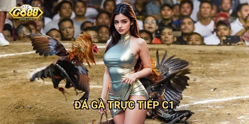 Đá gà trực tiếp C1 Go88: Giải đấu đỉnh cao với gà chiến xuất sắc