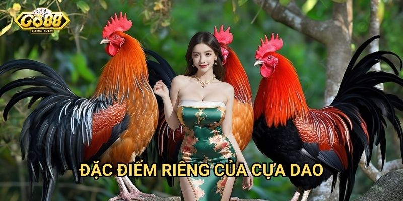 Đá gà cựa dao Go88: Hình thức đá gà mạo hiểm và hấp dẫn nhất 2 Đặc điểm riêng của cựa dao